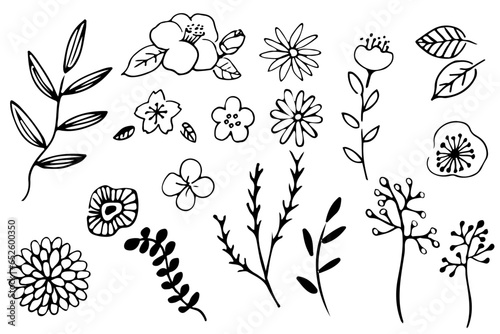 シンプルな手描きの植物と花のイラストセット（線画）