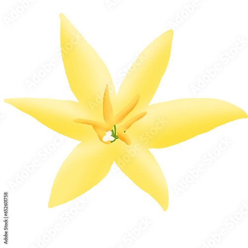 yellow flower