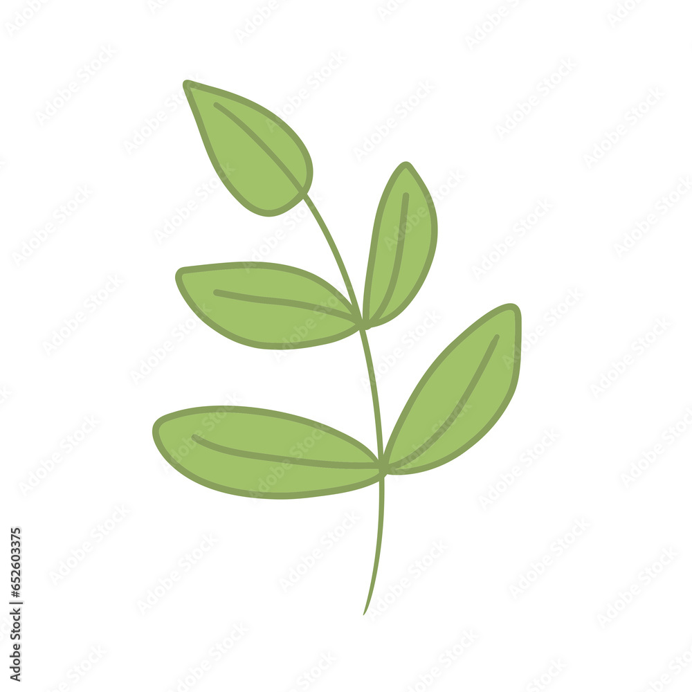 green leaves isolated 