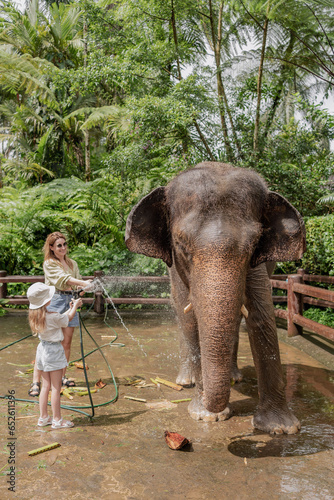 Young women with daughter washing an elephant at sanctuary in Bali, Indonesia. High quality photo