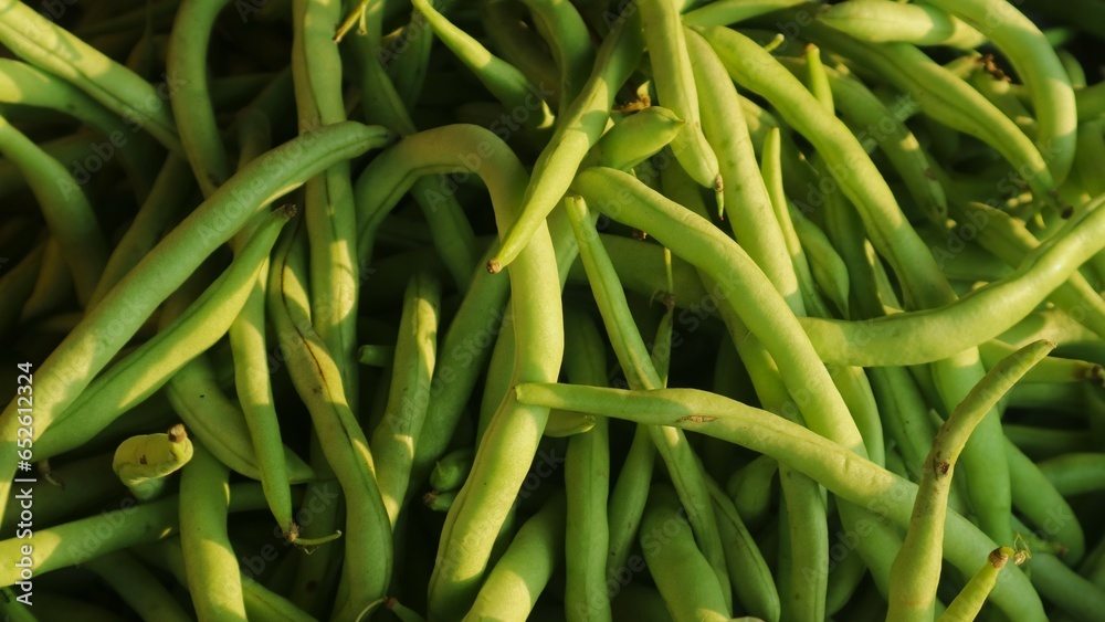 Pile of organic Fresh raw string bean or french beans or buncis in Bahasa, as background, top view Pile of organic Fresh raw string bean or french beans or buncis in Bahasa, as background, top view