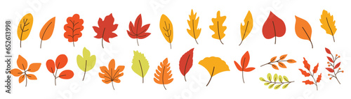 Set of autumn leaves. Autumn leaf illustration. 