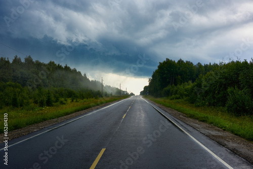 A beautiful straight road with fog in the distance. Road trip in cloudy weather. © Lexis_Jan