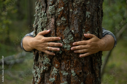 Save the planet. Hands gently hug the tree trunk, protecting it from being cut down. Protecting forests from deforestation. A man takes care of trees and tries to protect them.