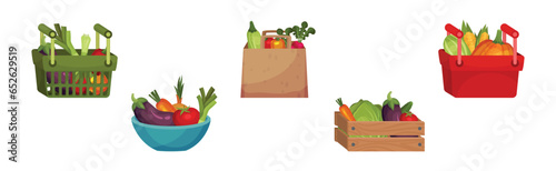 Vegetables in Basket and Bag as Fresh Harvested Crop Vector Set