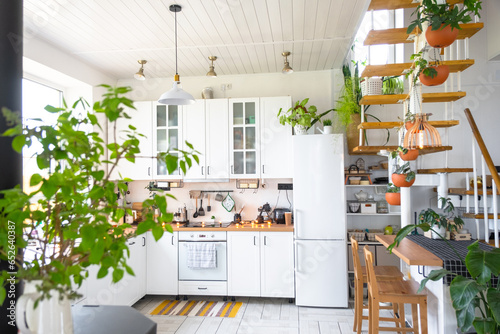 The general plan of a light white modern rustic kitchen with a modular metal staircase decorated with potted plants. Interior of a house with homeplants photo