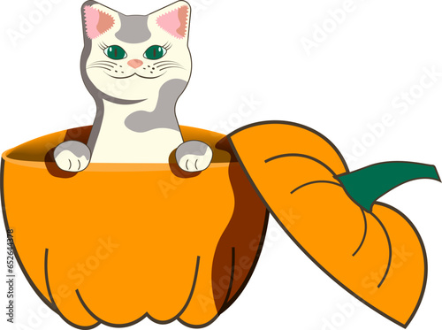 Animal character happy cat inside of Halloween pumpkin jack o lantern