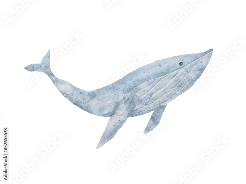 Blue whale hand drawing in watercolor isolated on transparency background