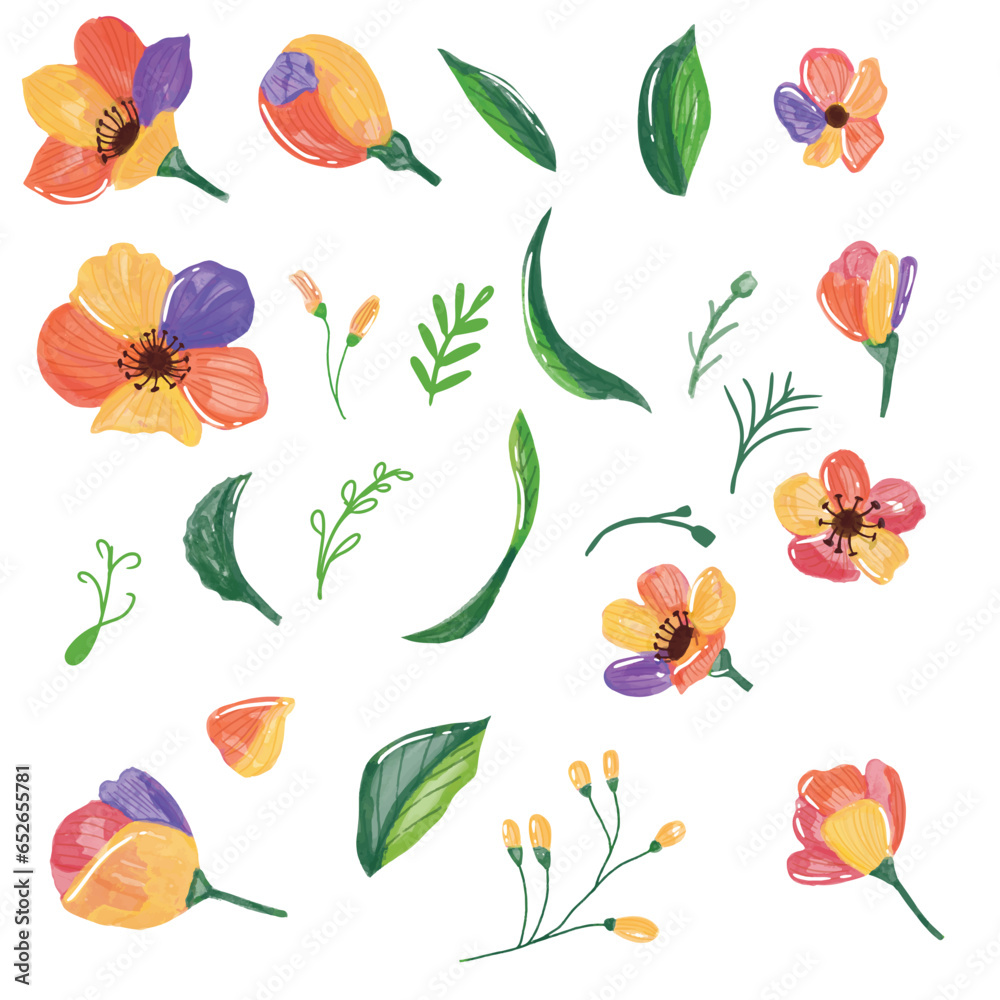set of watercolor flower rainbow, pink, yellow on tropical flower isolated on white background set of watercolor flower rainbow, pink, yellow on tropical flower isolated on white background
