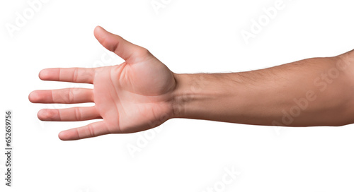 Studio photography of caucasian male hand
