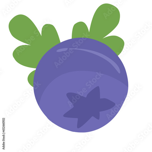 illustration of an blueberry 