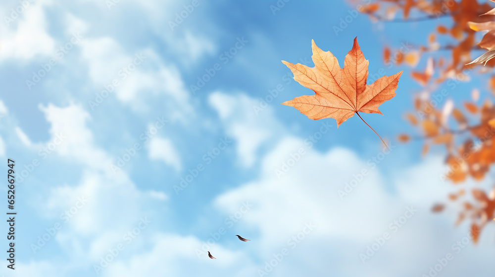 autumn leaf fall, falling leaves on the background of a light blue autumn sky, yellow and red leaves flying from the sky, view up autumn leaf fall, falling leaves on the background of a light blue autumn sky, yellow and red leaves flying from the sky, view up