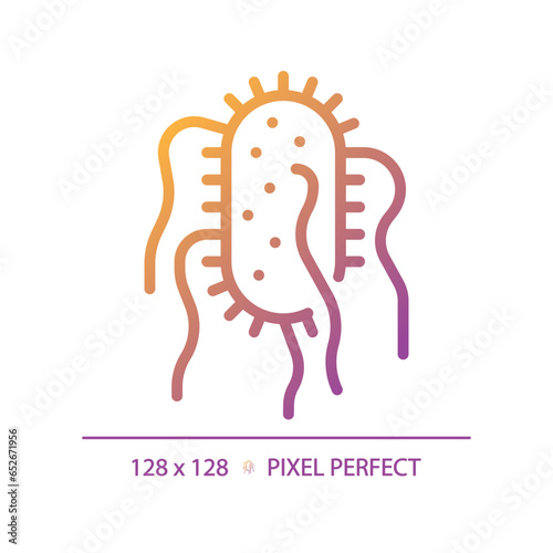 2D pixel perfect gradient salmonella typhi icon, isolated vector, thin line illustration representing bacteria.