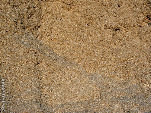 Light wood sawdust surface texture