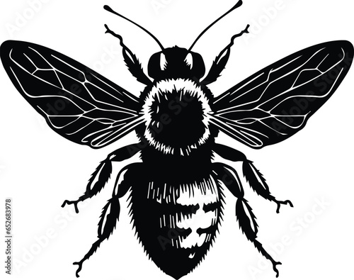 Bumble Bee Flying Insect Bug