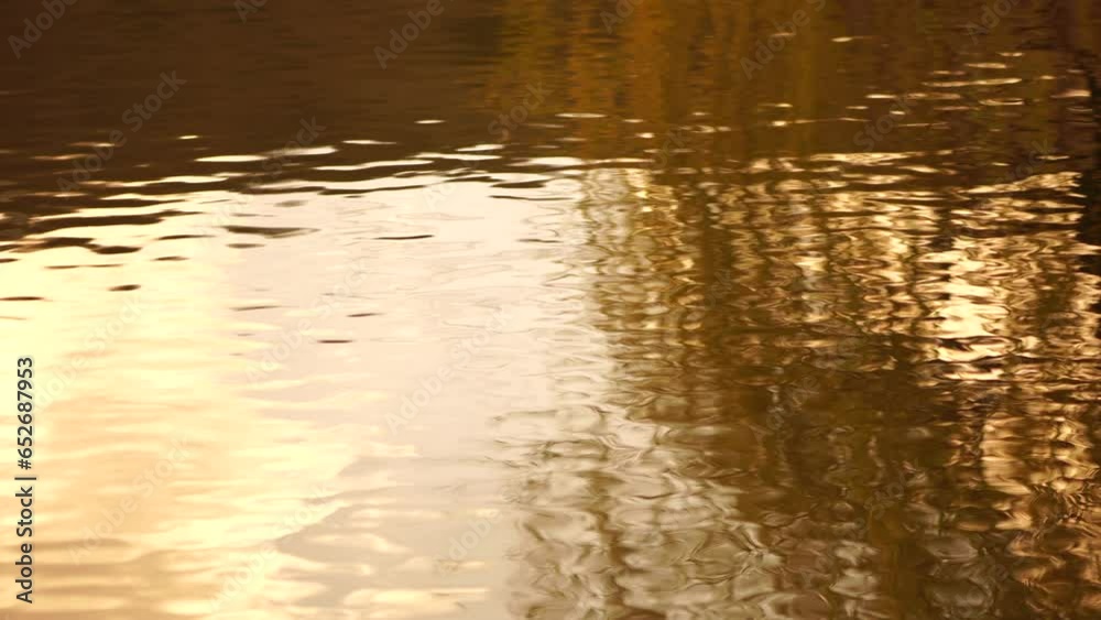 ripples on the water surface with reflection of branches of weeping willow tree and fresh green spring goslings shaking in wind, over blue lake water, creating a serene and tranquil scene. slow motion