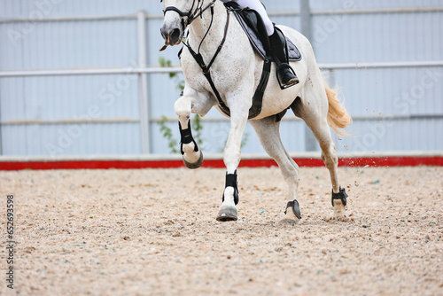 Gallop of a gray horse. Equestrian sports, Show jumping.