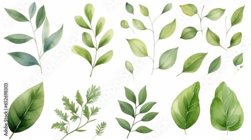 Hand painted foliage pattern, seamless floral print with green leaves, watercolor illustration Collection isolated white background suitable for Wedding Invitation, wallpapers, textile or cover