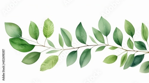 Hand painted foliage pattern, seamless floral print with green leaves, watercolor illustration Collection isolated white background suitable for Wedding Invitation, wallpapers, textile or cover © ND STOCK