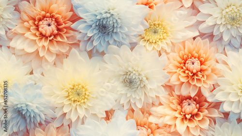 soft pastel delicate chrysanthemum flowers softcolor abstract background femininity tenderness cosmetics fragrance © kichigin19