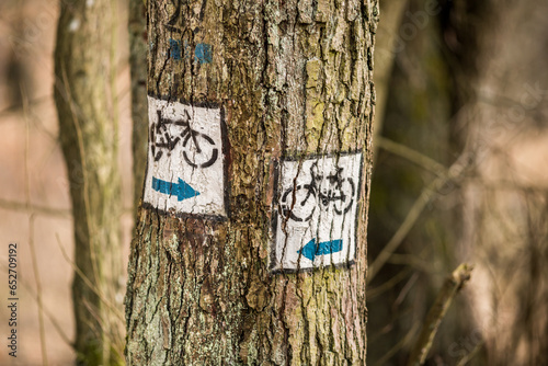Photography bicycle trail arrow markings pointing the way in opposite directions