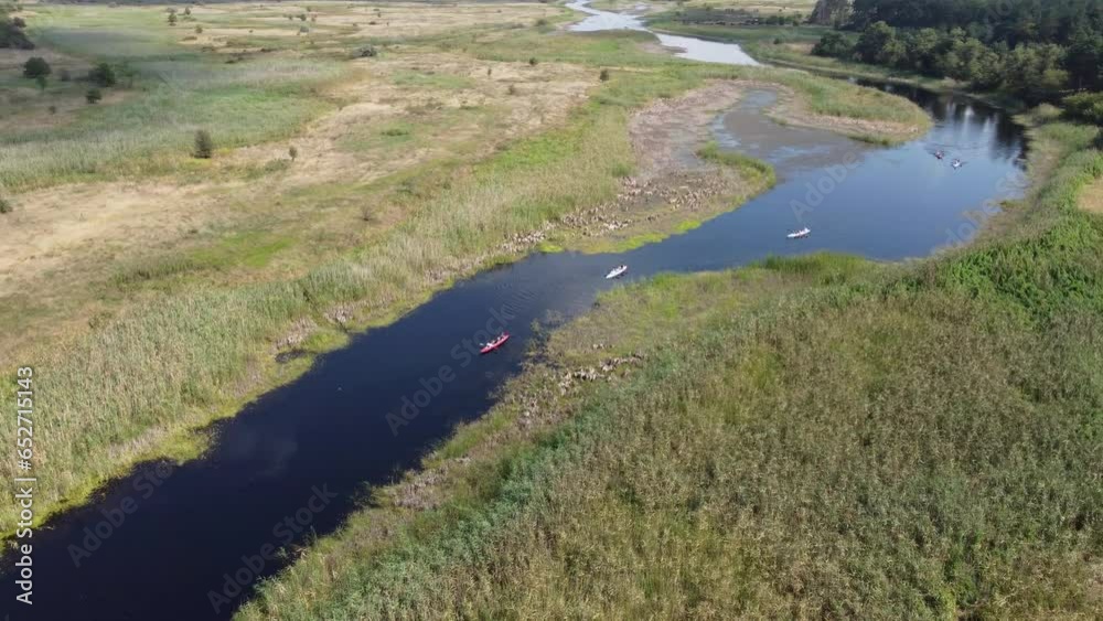 General plan of the river with tourists canoeing on the water. Beautiful footage from a drone, around the river, water meadows and forest. General plan of the river with tourists canoeing on the water. Beautiful footage from a drone, around the river, water meadows and forest.