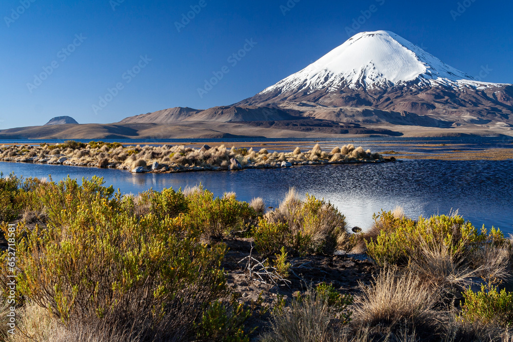 Vulkan Parinacota und Lago Chungara, Nationalpark Lauca, Chile - obrazy, fototapety, plakaty 