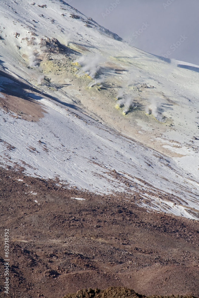 Vulkan Gualatiri, Nationalreservat Las Vicuñas,Chile