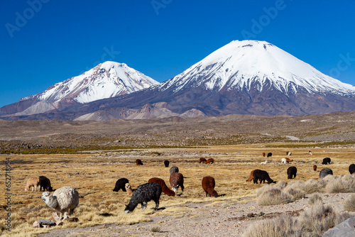 Vulkan Parinacota und Pomerape, Nationalpark Lauca, Chile photo