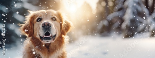 Dog during snowfall with blurred background with copy space