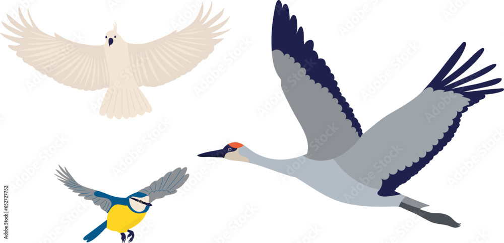 Obraz premium birds flying on a white background,vector