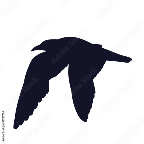 seagull flying silhouette on a white background, vector