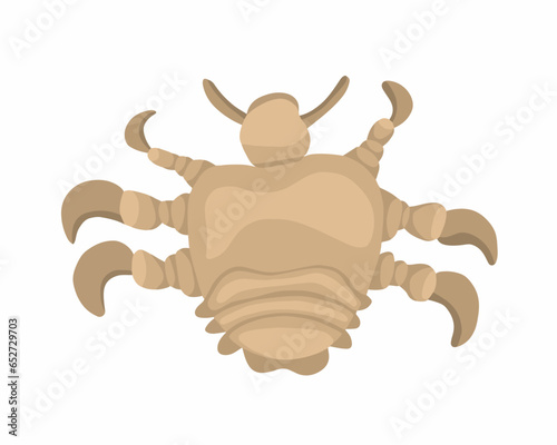 Vector isolated illustration of pubic louse on white background.