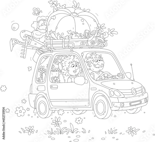 Happy grandpa and grandma in a small yellow car with a funny cat, grown ripe vegetables and garden instruments returning home from their summer cottage after summer vacation, vector cartoon