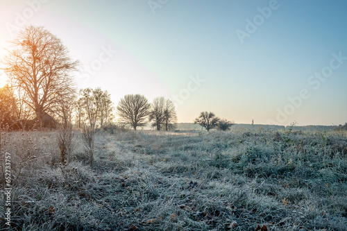 A frosty morning begins with sunrise, the grass is covered with white frost in the early morning. Transition from autumn to winter.