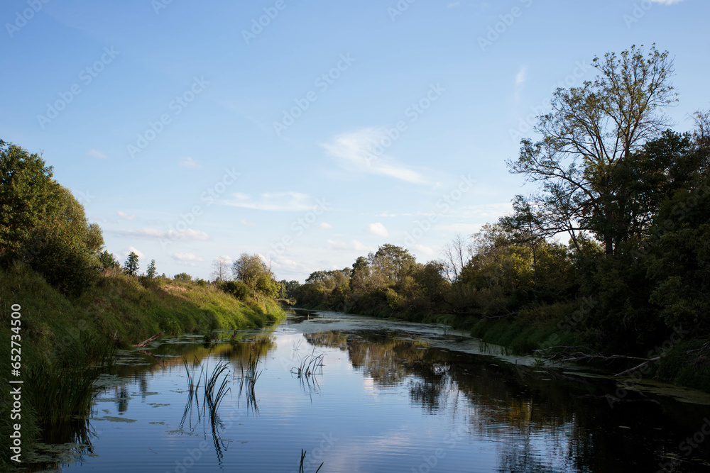 reflection of trees in water