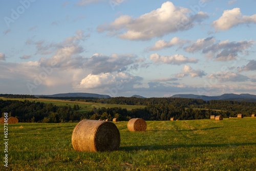 hay bales in the field