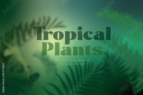 Tropical plants, decorative vector background. Background graphics with elements.