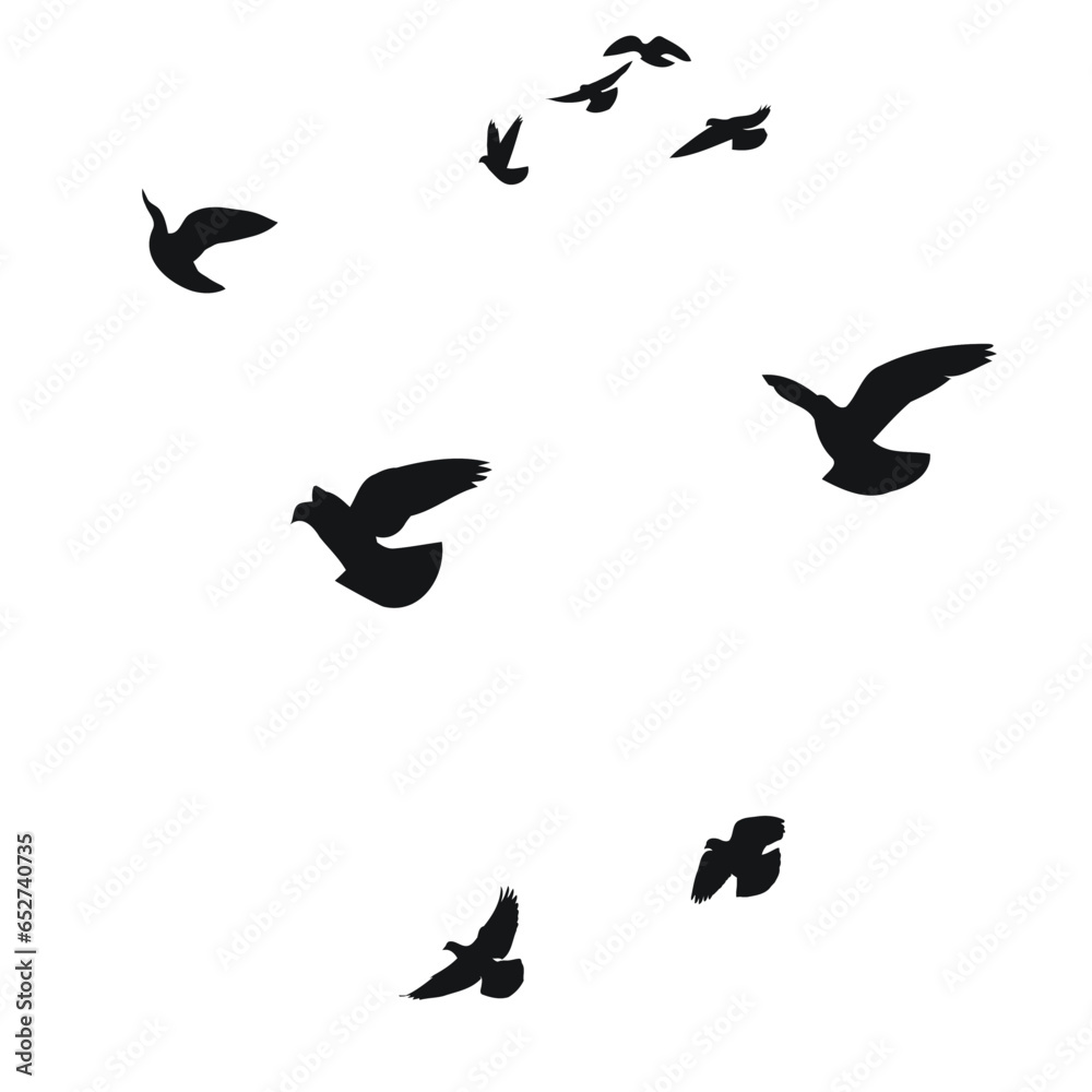 Silhouette sketch of a flock of flying birds, flight in different positions. Hover, soaring, landing, flying, flutter