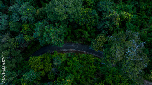 Aerial top view road in forest with car motion blur. Winding road through the forest. Car drive on the road between green forest. Ecosystem ecology healthy environment road trip.