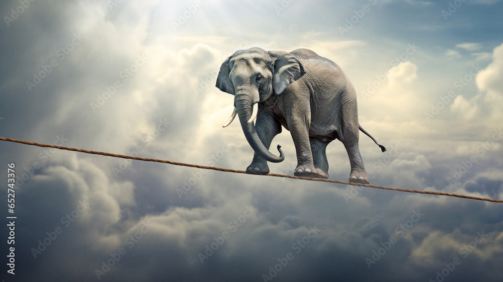 Obraz premium elephant walking on rope high in sky, idea of achieving balance and stability even in challenging or precarious situations
