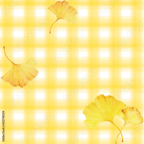 Ginkgo leaves isolated on check pattern background. Autumn background with yellow ginkgo leaves. Ginkgo biloba leaves vector hand drawn colored pencil   illustration. Autumn picnic concept