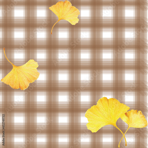 Ginkgo leaves isolated on check pattern background. Autumn background with yellow ginkgo leaves. Ginkgo biloba leaves vector hand drawn colored pencil   illustration. Autumn picnic concept