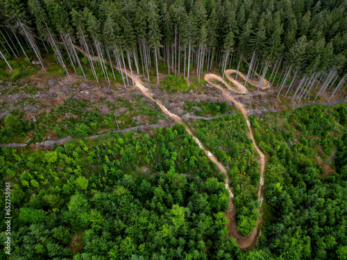 forest in which there is a track for bicycles trail tilted bends one after the other dug in the ground into perfect shapes mountain bikes even for children, glade, sun, shadows, racing  new, lawn photo