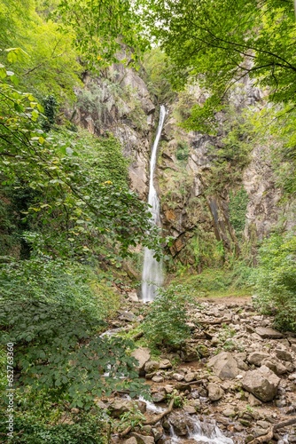 waterfall in the forest