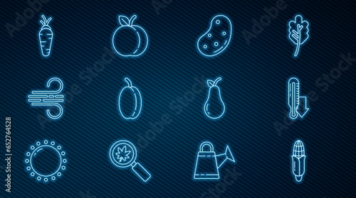 Set line Corn  Meteorology thermometer  Potato  Plum fruit  Wind  Carrot  Pear and Peach icon. Vector