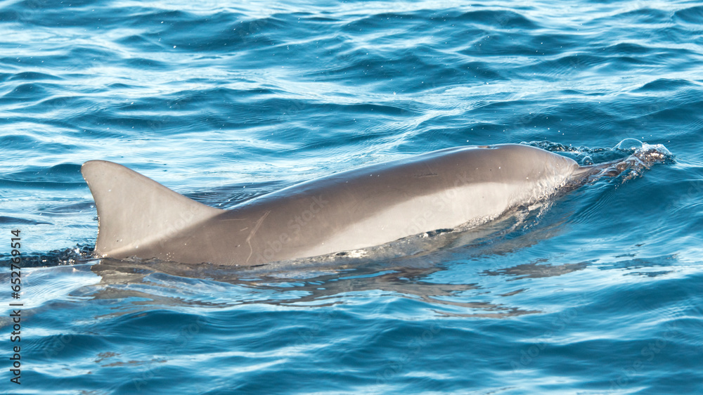 Obraz premium Travel