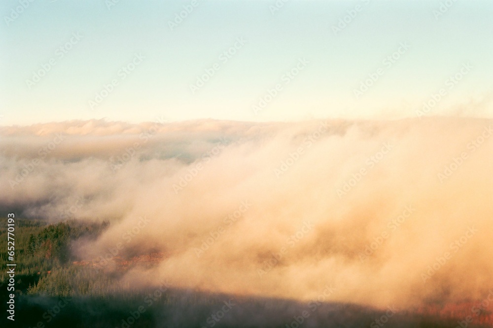 Fototapeta premium Drone view of the clouds with a shadow, covering the forest full of pine trees during sunset