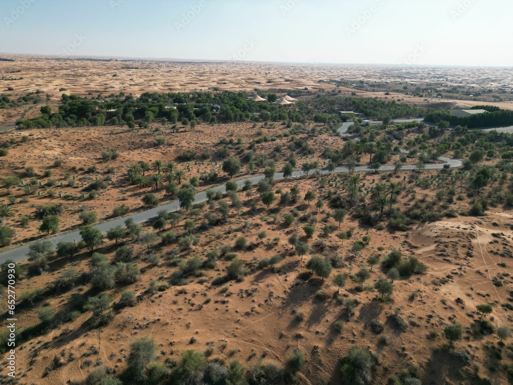 Fototapeta premium Road between trees in a beautiful oasis in the desert