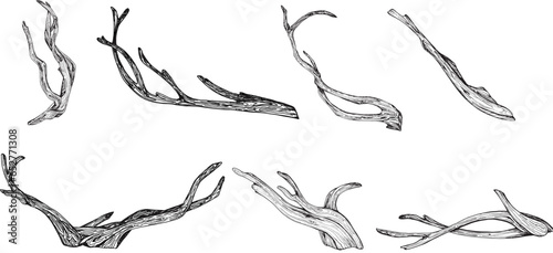 Illustration in black and white graphics set driftwood, branch isolated. Hand-drawn translated into vector. Designed for design, printing on fabric, packaging, prints, stickers, posters, postcards